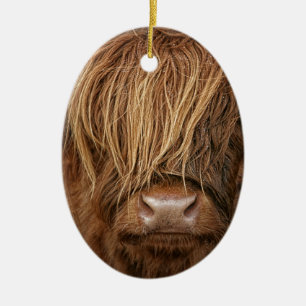 Schottische Hochland-Kuh - Schottland Keramikornament