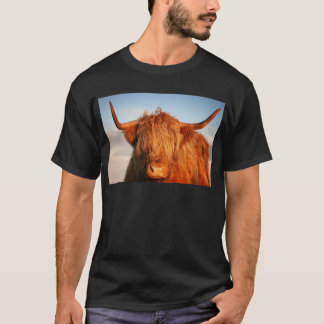 Schottische Hochland-Kuh - Schottland T-Shirt