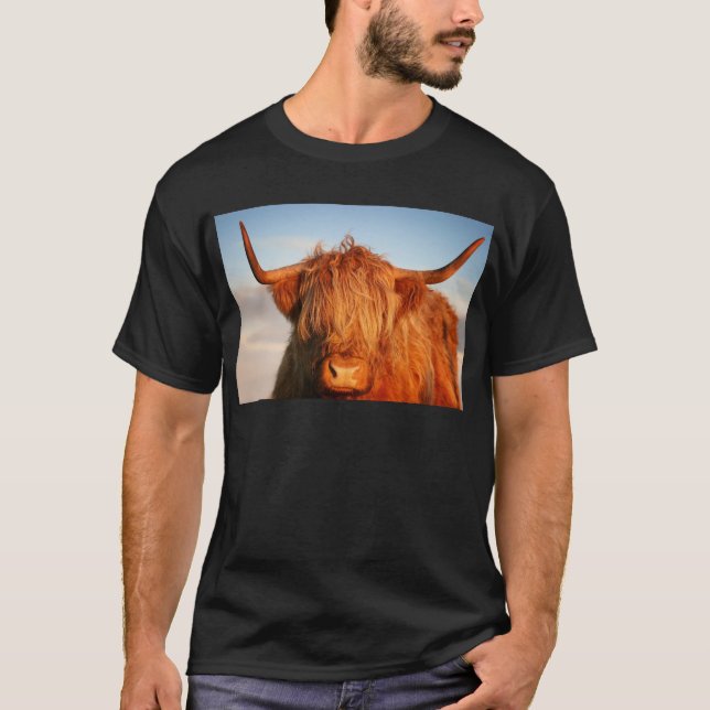 Schottische Hochland-Kuh - Schottland T-Shirt (Vorderseite)