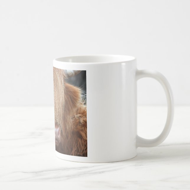 Schottische Hochland-Kühe - Schottland Kaffeetasse (Rechts)