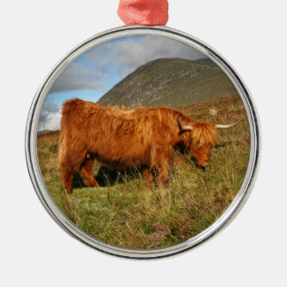 Schottische Hochland-Kühe - Schottland Ornament Aus Metall