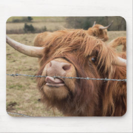 Schottische Hochlandkuh Mousepad