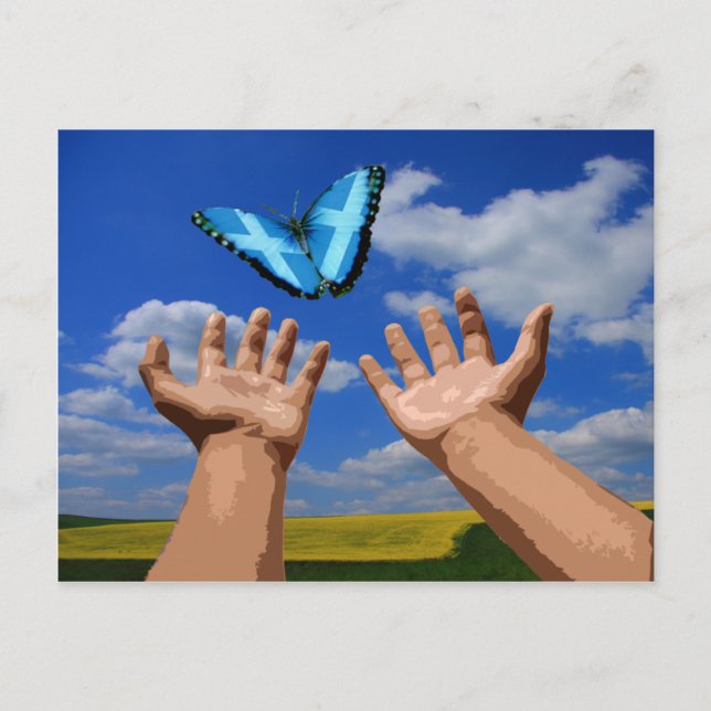 Schottische Schmetterlingsfliege nach der Karte (Vorderseite)