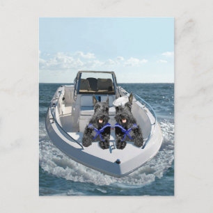 Schottische Terrier auf dem Boot Postkarte
