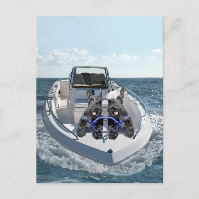 Schottische Terrier auf dem Schiff Postkarte (Vorderseite)