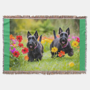 Schottische Terrier in Gras und Blume Decke