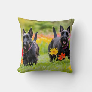 Schottische Terrier in Gras und Blume Kissen