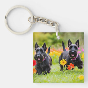 Schottische Terrier in Gras und Blume Schlüsselanhänger