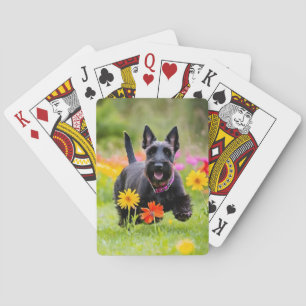 Schottische Terrier in Gras und Blume Spielkarten