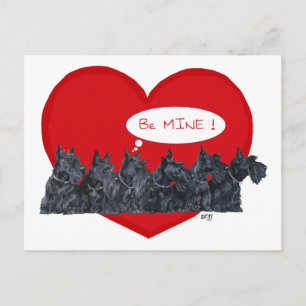 Schottische Terrier Valentinstag Feiertagspostkarte