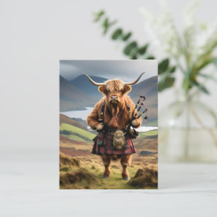 Schottischer Highland-Kuh-Bagpiper, Postkarte