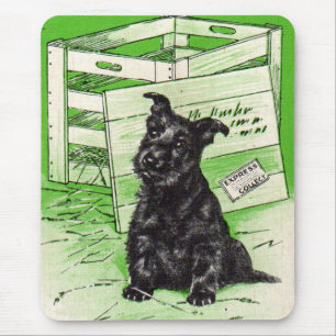 Schottischer Hund mit Sonderlieferung Mousepad