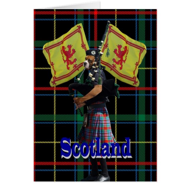 Schottischer Pfeifer auf Tartan (Vorne)