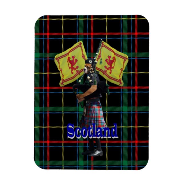 Schottischer Piper auf Tartan Magnet (Vertikal)