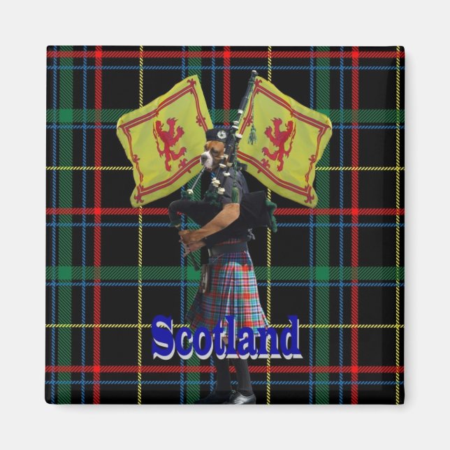 Schottischer Piper auf Tartan Magnet (Vorne)