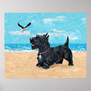 Schottischer Terrier am Strand Poster