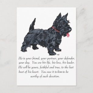 Schottischer Terrier-Andenken - MÄNNLICHER Hund Postkarte