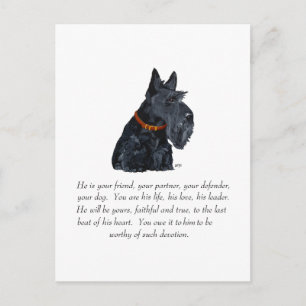 Schottischer Terrier Andenken Postkarte