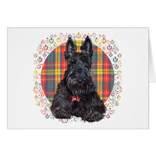 Schottischer Terrier auf Buchanan Plaid