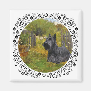 Schottischer Terrier auf dem Bauernhof Magnet