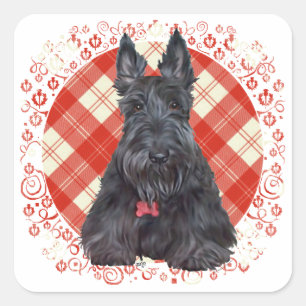Schottischer Terrier auf Tartan Quadratischer Aufkleber