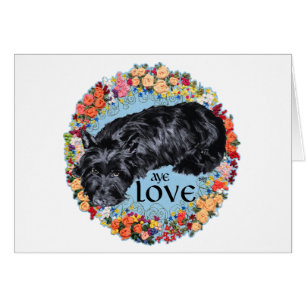 Schottischer Terrier: Aye, Love!