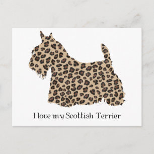 Schottischer Terrier Gepard-Druck Postkarte