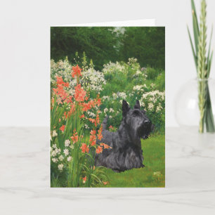 Schottischer Terrier Grußkarte Karte