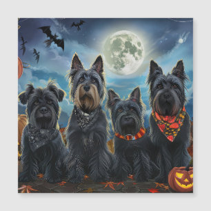 Schottischer Terrier Halloween Gruselig Magnetkarte