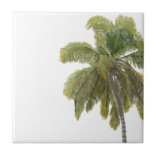 Schottischer Terrier Hawaiian Design Fliese