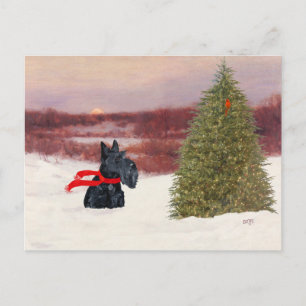 Schottischer Terrier im Winter Postkarte