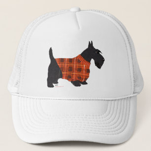 Schottischer Terrier in einem Pullover Truckerkappe