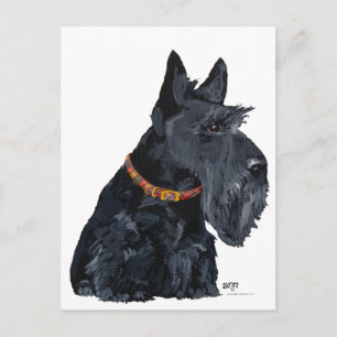 Schottischer Terrier-Karte Postkarte