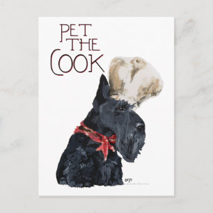Schottischer Terrier Koch Postkarte