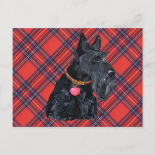 Schottischer Terrier Liebt Postkarte