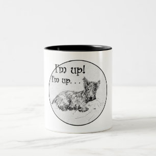 Schottischer Terrier Morgen Zweifarbige Tasse