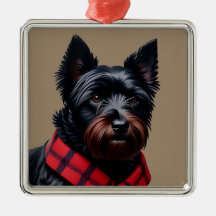 Schottischer Terrier