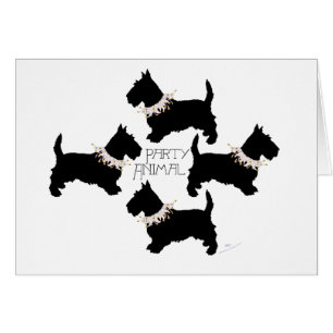 Schottischer Terrier Party