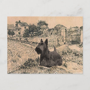 Schottischer Terrier Postkarte