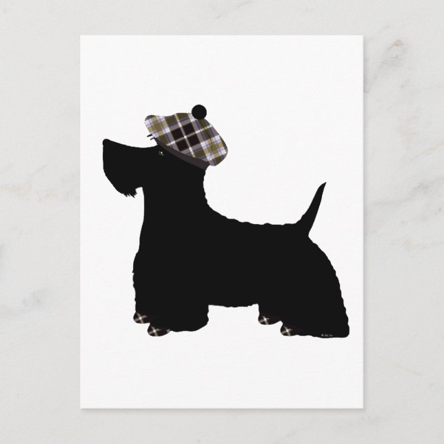 Schottischer Terrier Postkarte (Vorderseite)