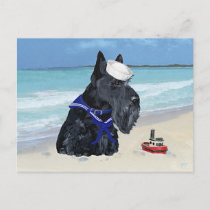 Schottischer Terrier Seemann Postkarte