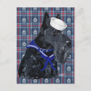 Schottischer Terrier Seemann Postkarte