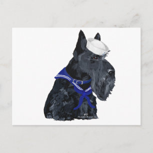 Schottischer Terrier Seemann Postkarte