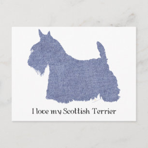 Schottischer Terrier Silhouette in Denim Postkarte