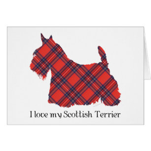 Schottischer Terrier Stewart Tartan
