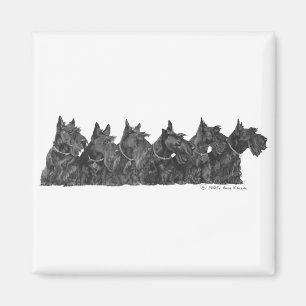 Schottischer Terrier-Treff Magnet