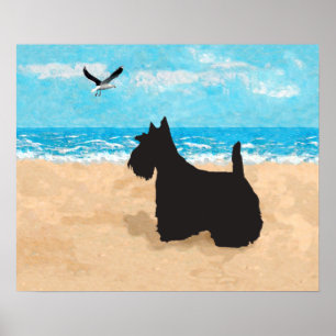 Schottischer Terrier und Möwe Poster