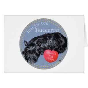 Schottischer Terrier Valentine