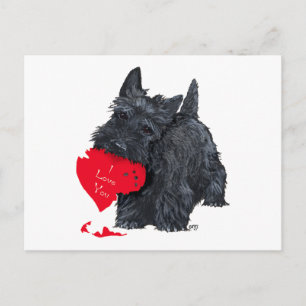 Schottischer Terrier Valentinstag Feiertagspostkarte