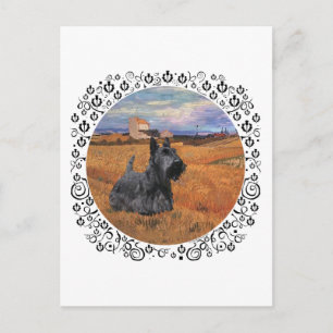 Schottischer Terrier zur Erntezeit Postkarte